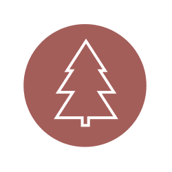 Rural land surveying icon featuring a tree, representing acreage and large-property boundary services in Nelson, BC.